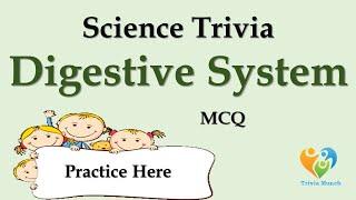 Science Trivia on Human Digestive System | Easy Science Trivia | Digestive System MCQ | Science