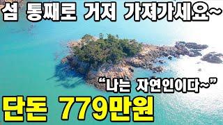 섬 통째로 거저 가져가세요~ 나는 자연인이다~ 단돈 779만원짜리 무인도 섬