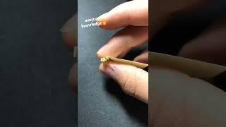 rolling paper tip လိပ်နည်း#rollingstones
