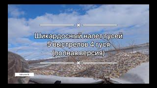 Шикардосный налет гусей / 5 выстрелов 4 гуся (полная версия)