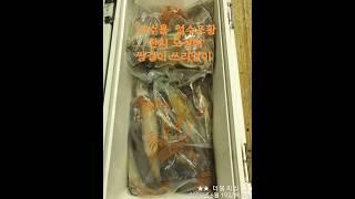 진해더블피싱 9.77톤 먼바다 루어전용선 한치 낚시 예약 010-6668-1782 #진해더블피싱 #한치이카메탈 #한치오모리 #갈치지깅 #갈치텐야 #갈치텐빈 #참돔타이라바 #무늬팁런