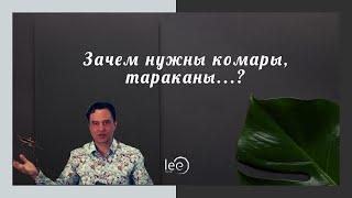 Зачем нужны комары, тараканы и прочие гады на этой планете?