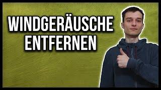 DaVinci Resolve 17 Windgeräusche entfernen Tutorial deutsch