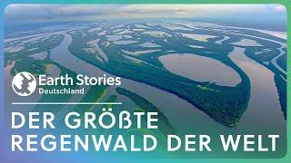 Doku: Entdeckungen in den Tiefen des Amazonas | Earth Stories Deutschland