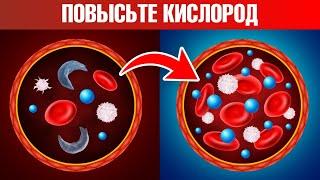 Как повысить уровень кислорода в крови и в клетках? Есть секрет 