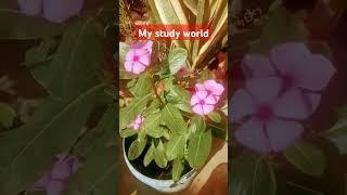 #mystudyworld #neetbiology #ncrtbiology #upboardbiology gardening #gardening #garden