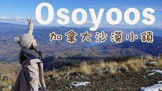 加拿大的沙漠小鎮 Osoyoos| 真的是沙漠嗎?! 溫哥華開車約5個鐘頭| 酒莊、果園、Osoyoos Lake、Mount Kobau (SaraXLeyo)