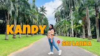 Discover the charm of Kandy, Sri Lanka||Pinnawala to Royal Botanical Garden||Elegant Hotel!!