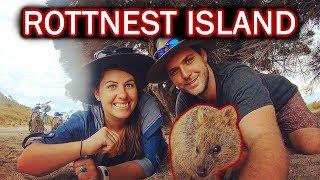 QUOKKA SELFIE!! SO CUTE! - Rottnest Island - Ep.81 Roadtrip Australia