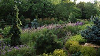 Mountain Meadow Garden Tour and Interview | Built Over Septic Field! | Full-Sun