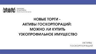 Активы госкорпораций:  Можно ли купить узкопрофильное имущество