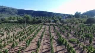 Vol per el Priorat, DOMontsant DOQPriorat