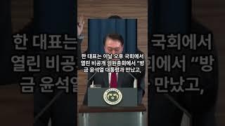 속보 탄핵안 부결이 당론, 한동훈 의견 업무 정지