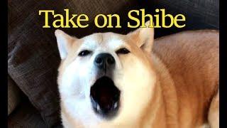 Take on Shibe