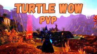 DESTROYING PEOPLE IN TURTLE WOW!