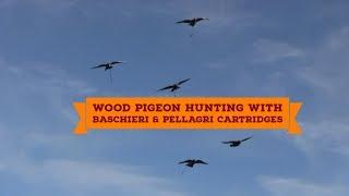 Wood pigeon hunting with Baschieri & Pellagri cartridges