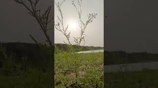 subscribe #automobile #bolleywoodsong #love #sad #comedysong #motivation