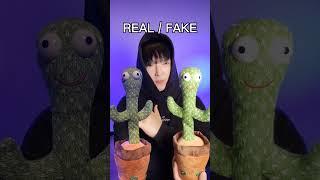 REAL / FAKE #beatbox #TeamREAL