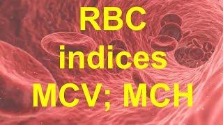 MCV and MCH blood tests