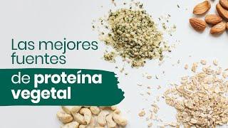 Las mejores fuentes de proteína vegetal