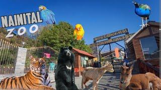 NAINITAL ZOO | नैनीताल का चिड़ियाघर