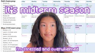 TIPS on how to ACE YOUR MIDTERMS and EASE YOUR ANXIETY in UNIVERSITY