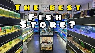 Finding the BEST Aquarium Store for YOU!