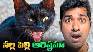 TOP 10 Horror Movies In The World, Black Cat Myth In India | Telugu | VR Raja Facts