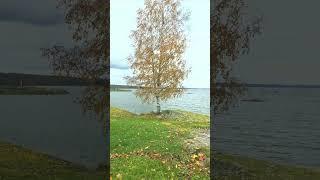 3rd largest lake in Europe Lake Vänern, Sweden #lakevänern #sweden #lake #europe #shorts #short #fyp