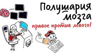 Полушария мозга: ПРАВОЕ ПРОТИВ ЛЕВОГО! — Научпок