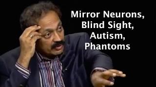 From phantom limbs to consciousness -  neuroscientist V. S. Ramachandran on Charlie Rose