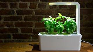 This smart garden is hard to kill