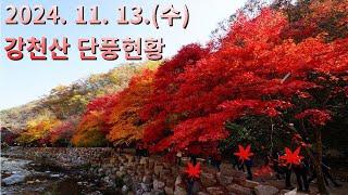 2024.11.13.(수) 강천산 단풍 현황