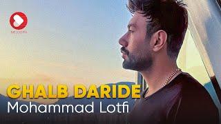 Mohammad Lotfi - Ghalb Daride | محمد لطفی-  قلب دریده