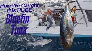 Ethans Bluefin YT Final Cut