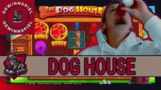 ️ GEWINNSPIEL️ Dog House und der Tag ist gerettet  | Freegames High Stakes  | Casino Highlights