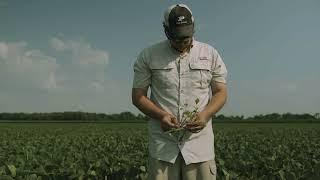 Soybean Research Information Network - Case Study