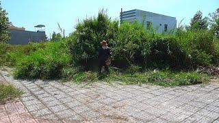 It Was So Dirty It Shocked Us - 400 Meters Of Sidewalk Quickly Transformed