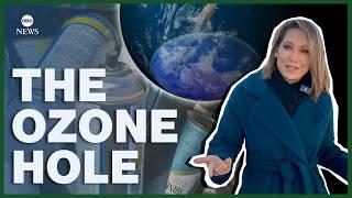 Whatever happened to the ozone hole?