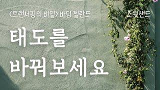 세상에 대한 여러분의 느낌은 고스란히 반영될 겁니다 / 트랜서핑의 비밀 바딤 젤란드 / 스윗샌드 낭독