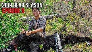 Solo Washington Fall Bear Hunt Success! | 2019 Hunting Season EP.09