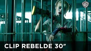 AVES DE PRESA - Rebelde 30' - Warner Bros Pictures Latinoamerica