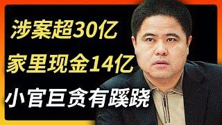 记者为他辩解得我都要笑了 | 贪腐超30亿，家里现金14亿，名下1021处房产 | 外逃原副市长贪腐的财产大揭秘 | 外逃巨贪李传良 | 真相