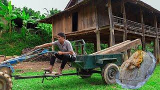 Buy Wood, Harvest Wild Honey and Sell It at Market | Family Farm