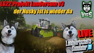 LS22 | Projekt Landersum V3 | Stroh Häckseln | Der Husky ist wieder aus dem Arbeitsurlaub da Live