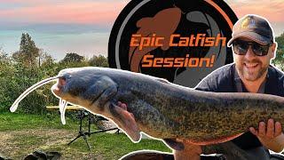 How I Caught 18 Catfish In A Day Session | Rigs and Catfish Tips