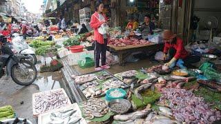 Morning Street Food Market Scene Vs Fish Market - Plenty Alive Fish, Fresh Vegetable & More Food