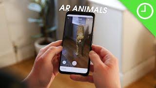 Hands-on with all of Google's 3D Animals!