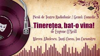 Tinerețea, bat-o vina! - Eugene O'Neill | Teatru pe Vinil | (teatru radiofonic: comedie)