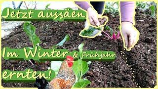 Gartenarbeit Oktober / November / Aussaat, ein Garten voller Elfen ‍️